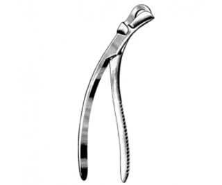 Rib Shear